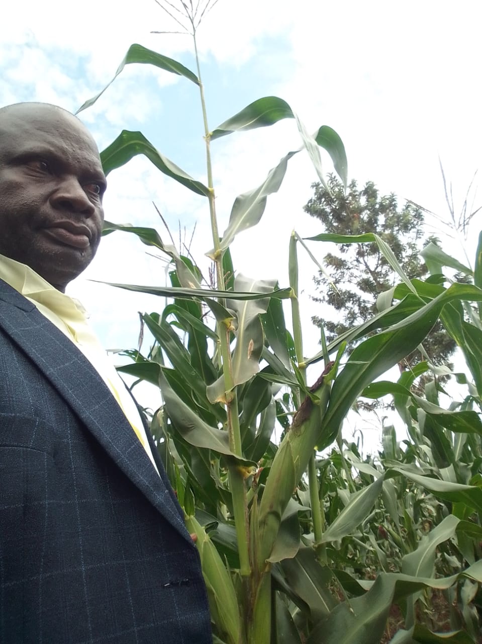 Machinery used for maize processing
