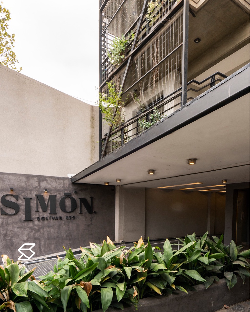 Simon