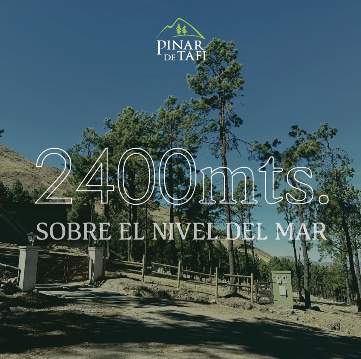 Loteo Pinar De Tafí del Valle