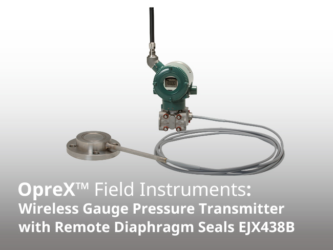 Transmisor de presión de calibre inalámbrico EJX438B con sellos de diafragma remotos
