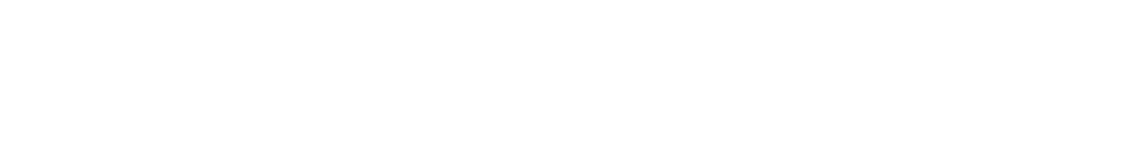 Radoc Bikes | Bicicletas de Montaña Premium