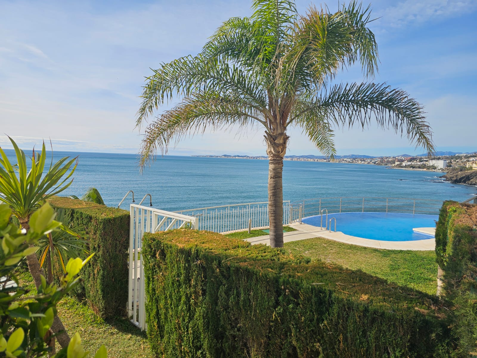 PALMERA MAR ACANTILADO.jpg