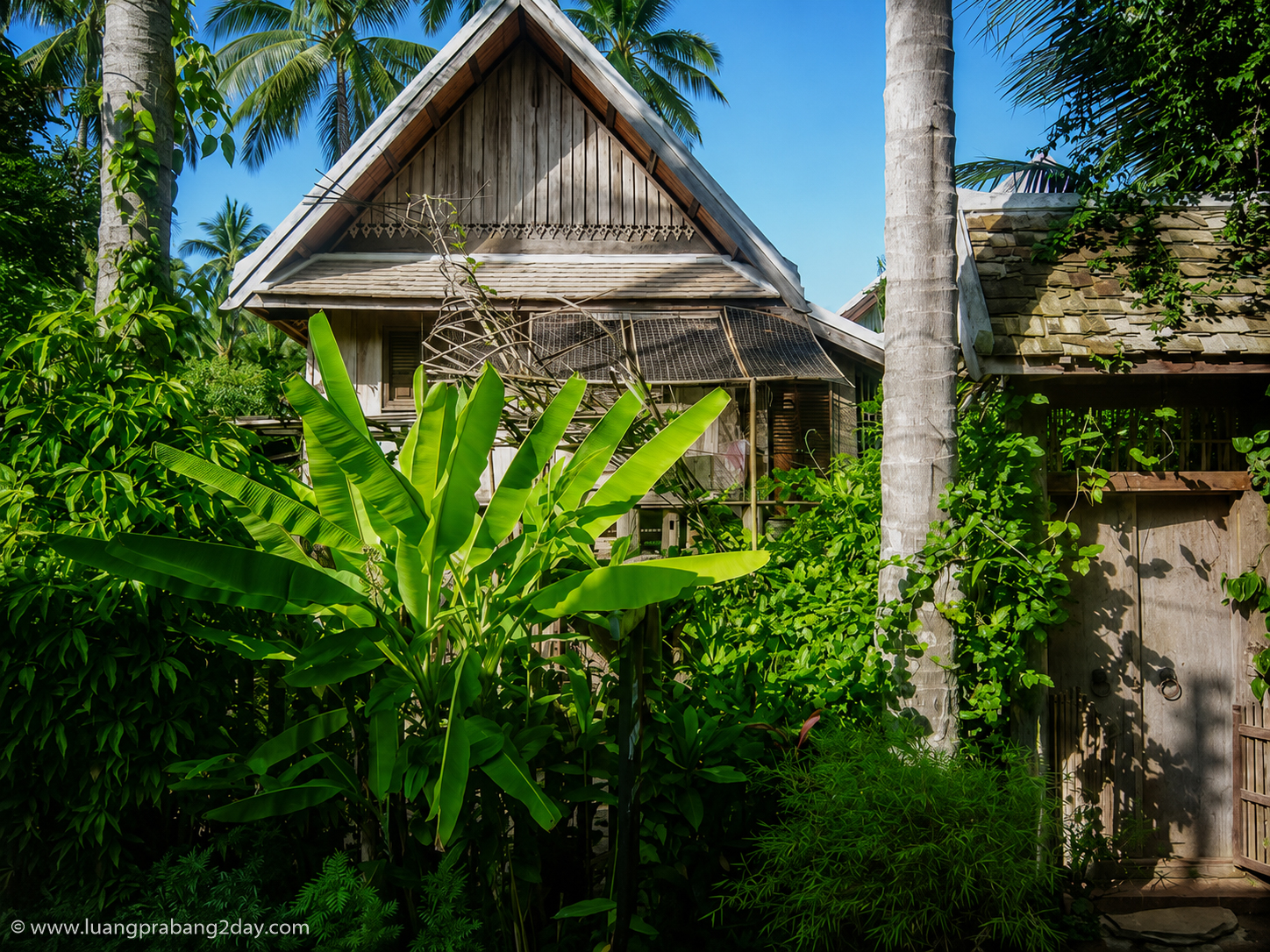 Traditional Lao wooden house surrounded by tropical gardens in Luang Prabang Traditional Lao wooden house surrounded by tropical gardens in Luang Prabang
