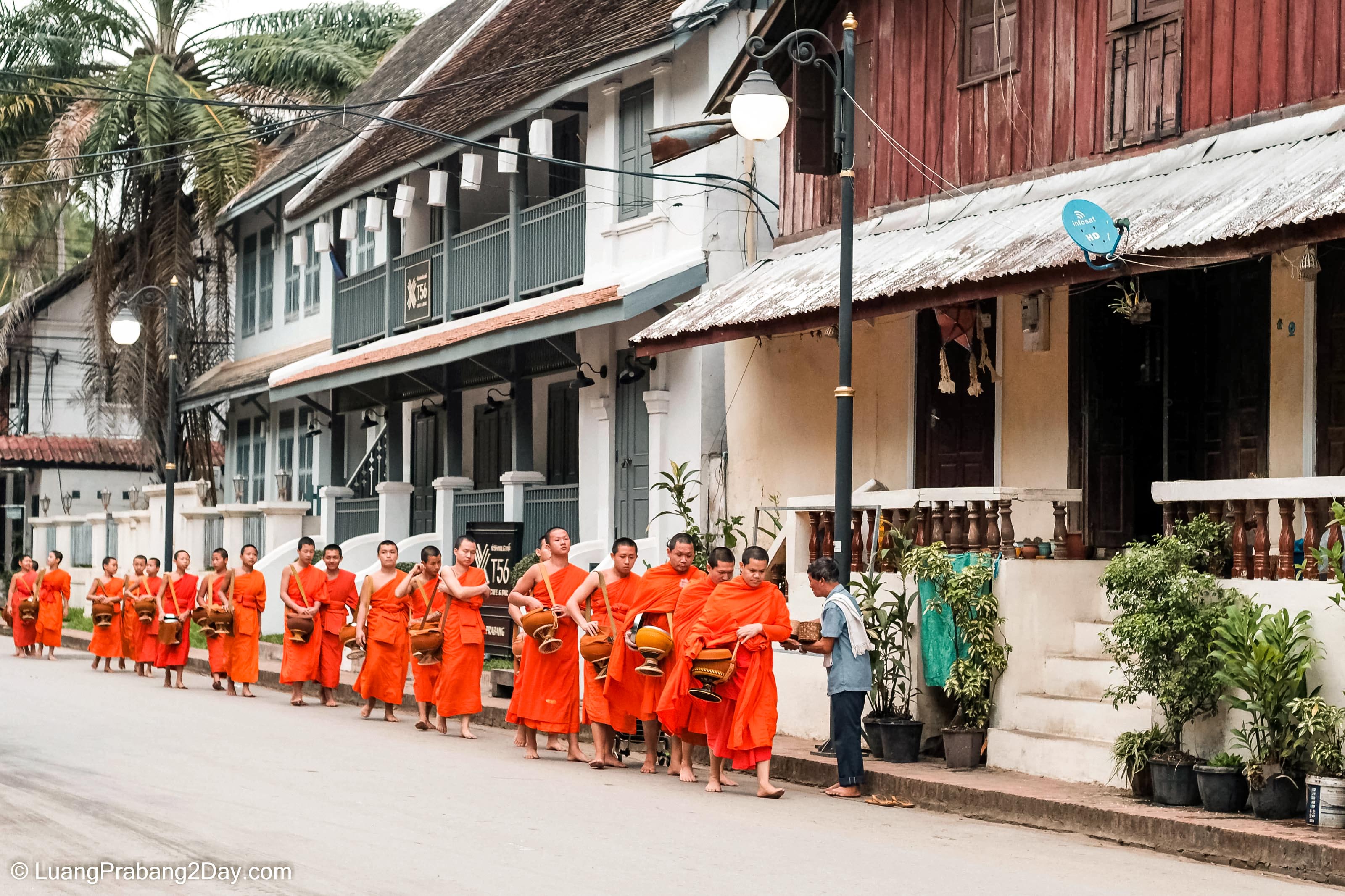 Buddhist monks walking through the streets of Luang Prabang during morning alms Buddhist monks walking through the streets of Luang Prabang during morning alms