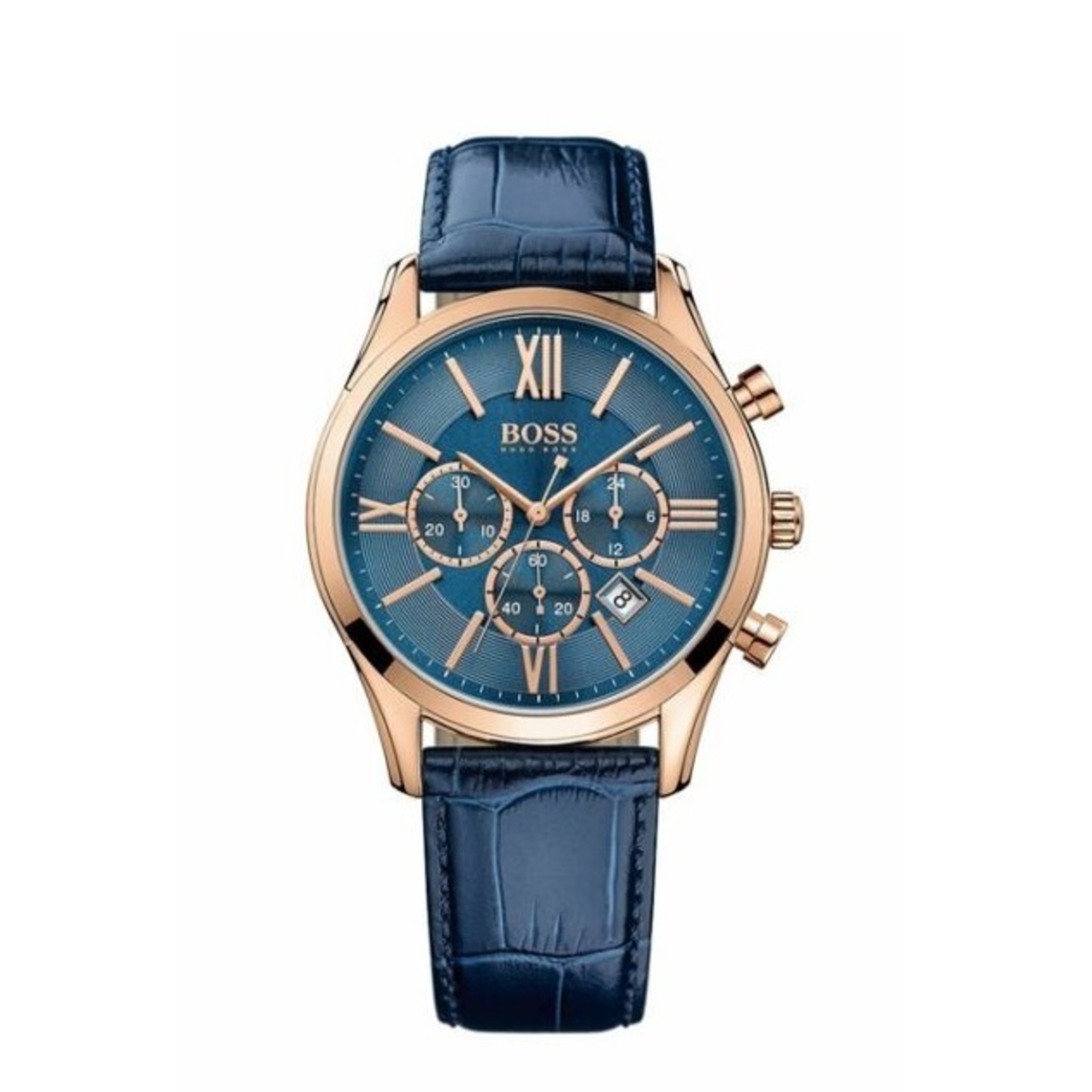Boss ambassador best sale watch
