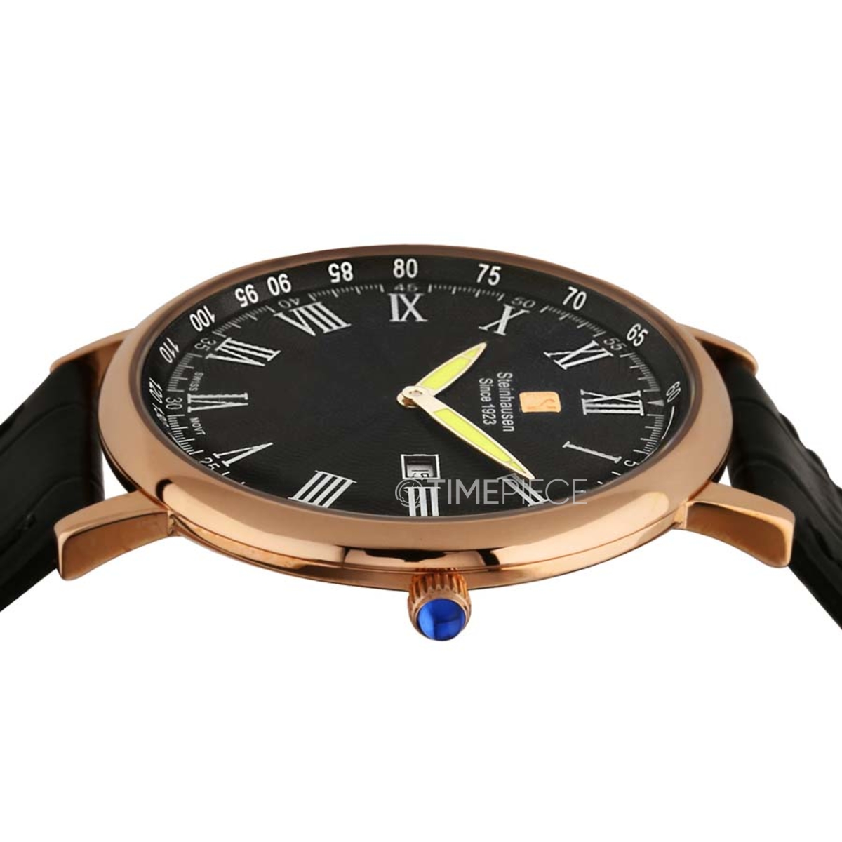 Steinhausen S0120 Altdorf Mens Quartz Watch