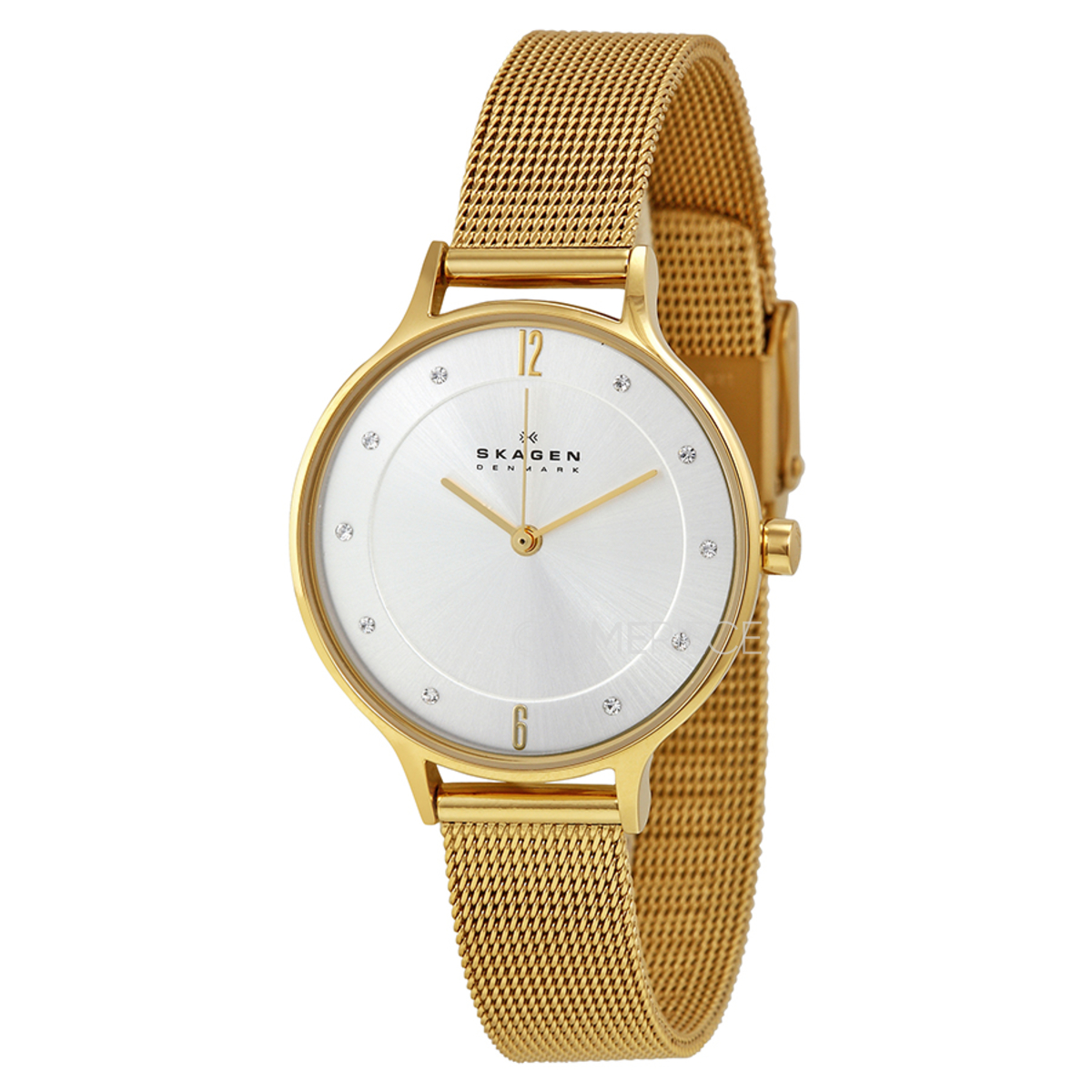 Skagen SKW2150 Anita Ladies Quartz Watch