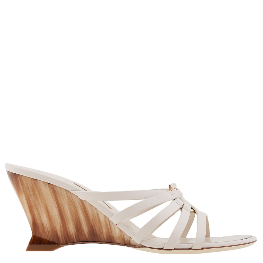 Tortoise,White