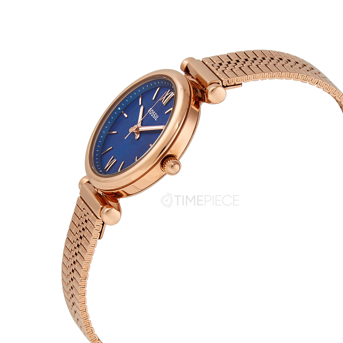 Es4693 fossil 2025