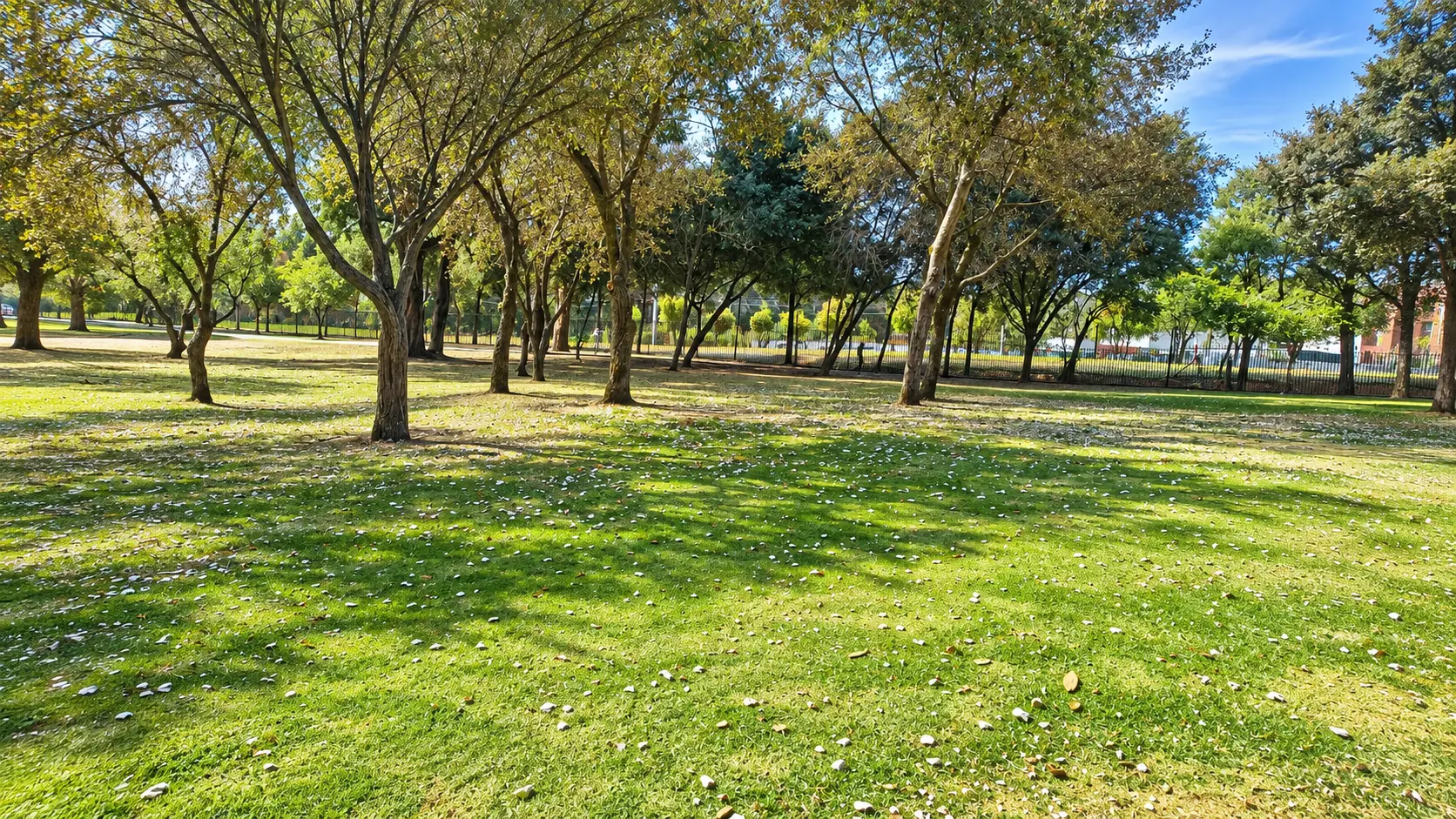 Parque Metropolitano Las Cuadras, imagen 3