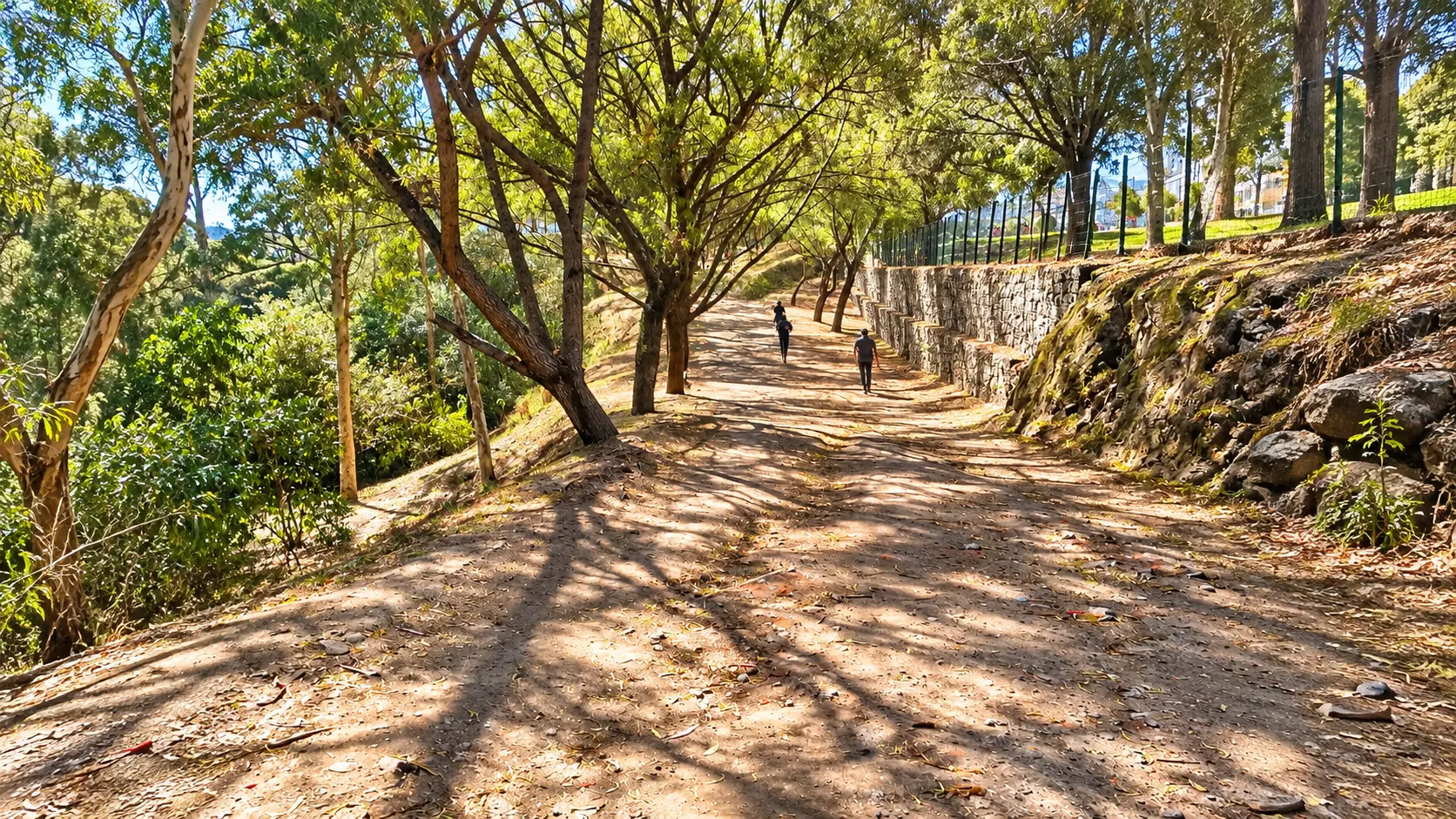 Parque Metropolitano Las Cuadras