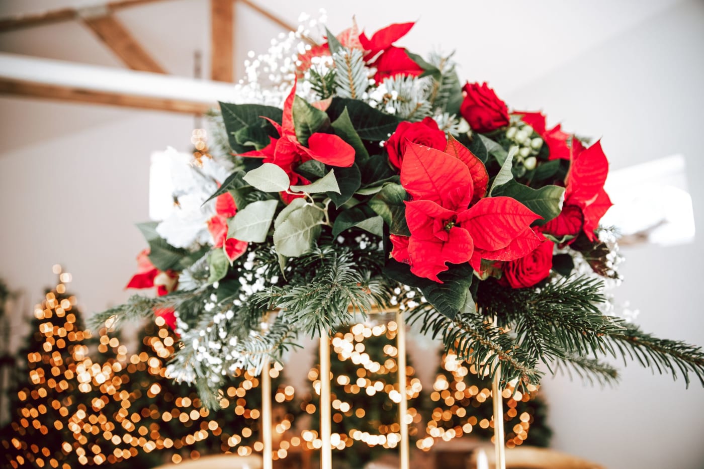 Soleil et Mimosa — décoration événementielle