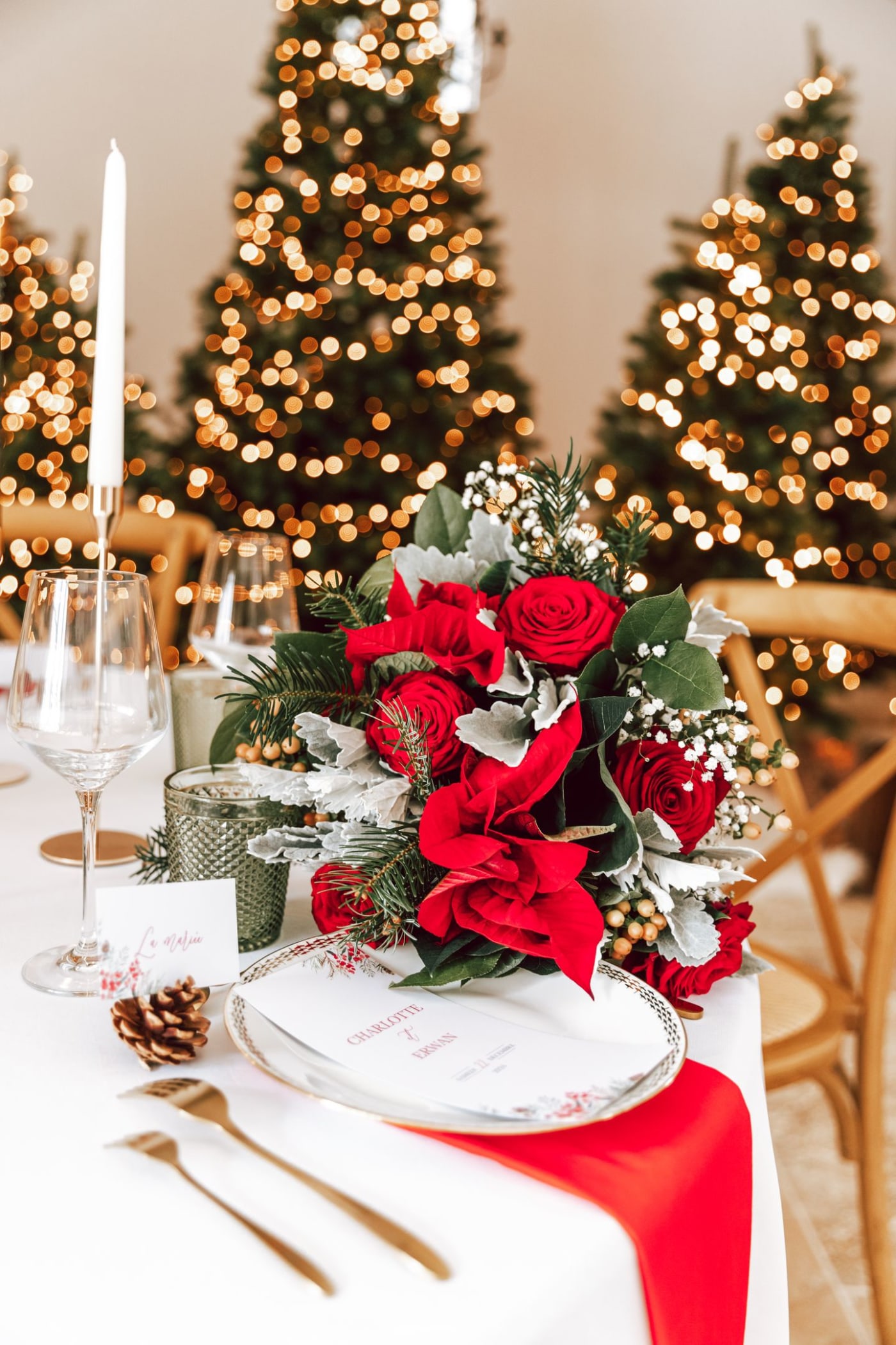 Soleil et Mimosa — décoration événementielle