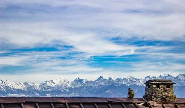 abdullah-alam-njm1aiaacfs-unsplash-6aafc211889d3.webp