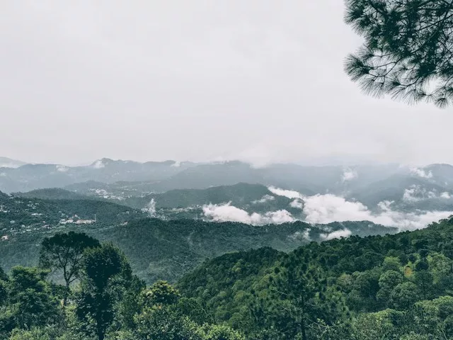 zonayed-ahmed-adptc-jnnt8-unsplash-6ab277cb9565f.webp