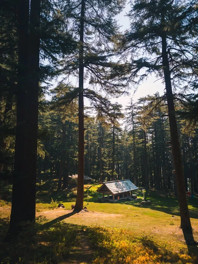 anirudh-thakur-1v5wz3mme2m-unsplash-6ab534e906d5d.webp