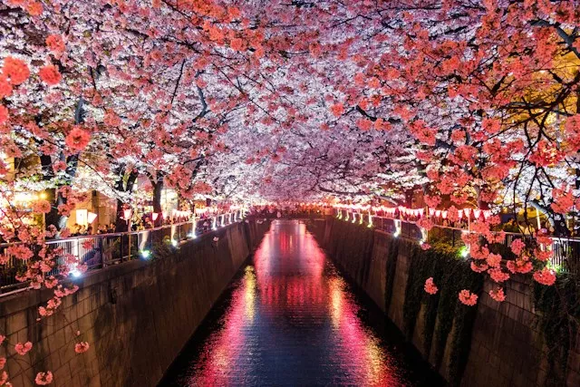 sora-sagano-8sozj8jf0s8-unsplash-6ab571249e640.webp