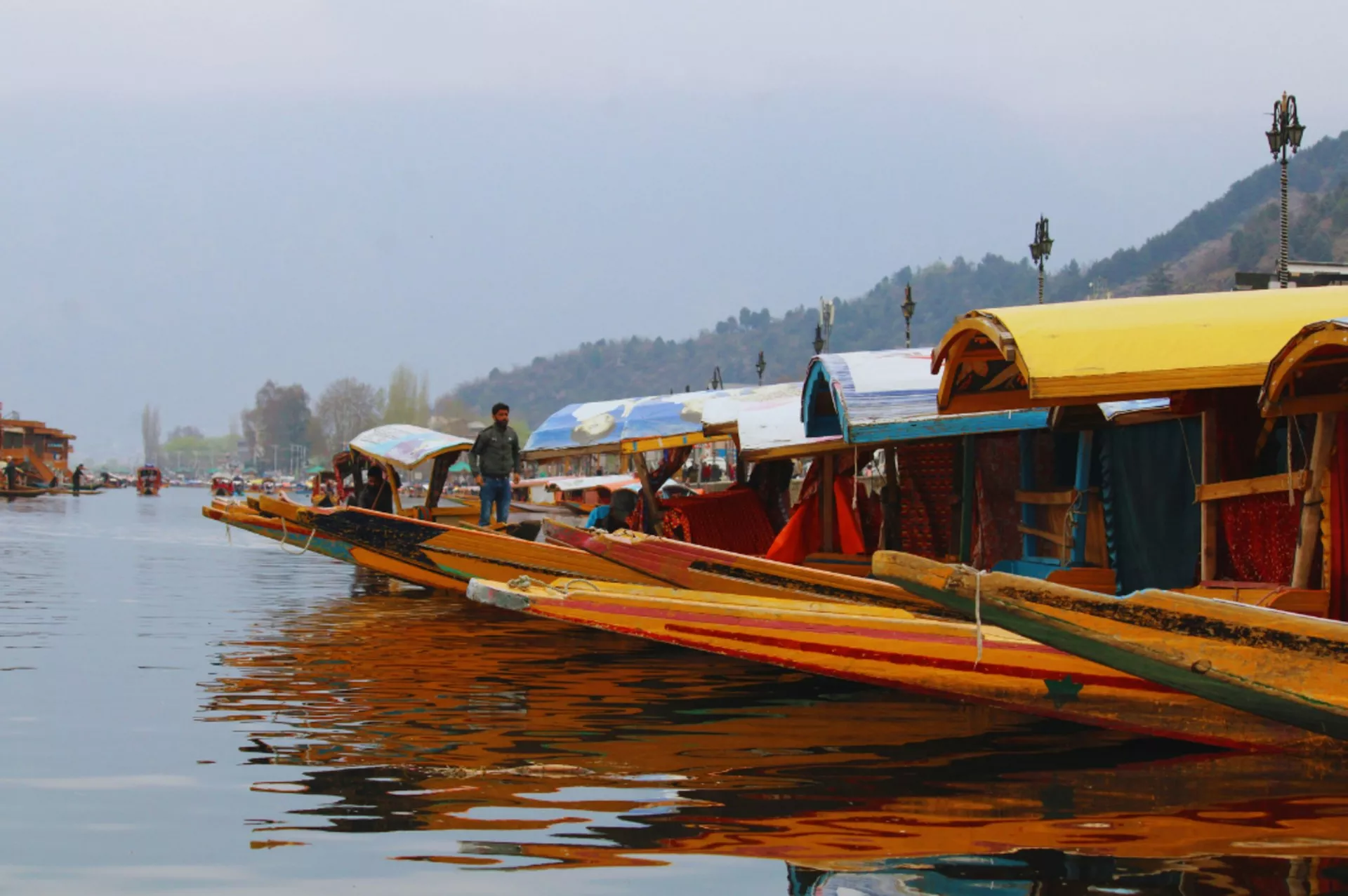 Peaceful Shikara ride on Dal Lake in Kashmir