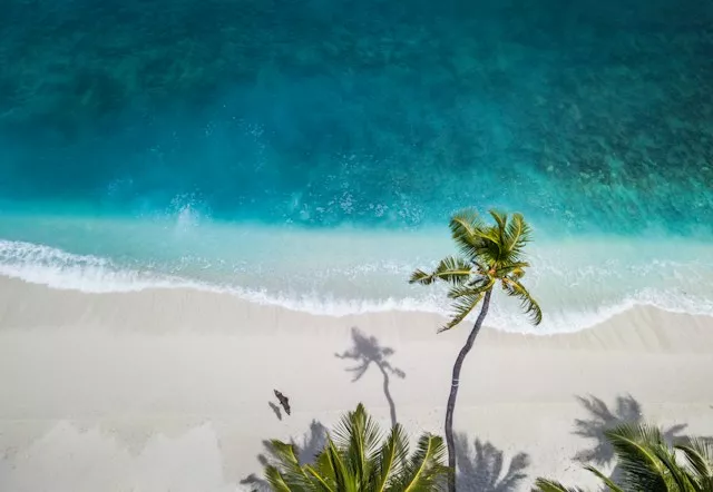 nattu-adnan-atsuvc1hmwk-unsplash-6abd0a0e2fd0a.webp