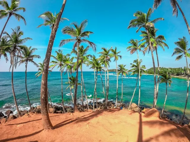dinuka-lankaloka-idueaebb-rq-unsplash-6abd2a0110562.webp
