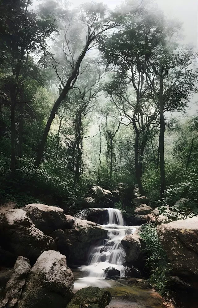 ansh-jain-tiyexneqcfi-unsplash-6aca31600607c.webp