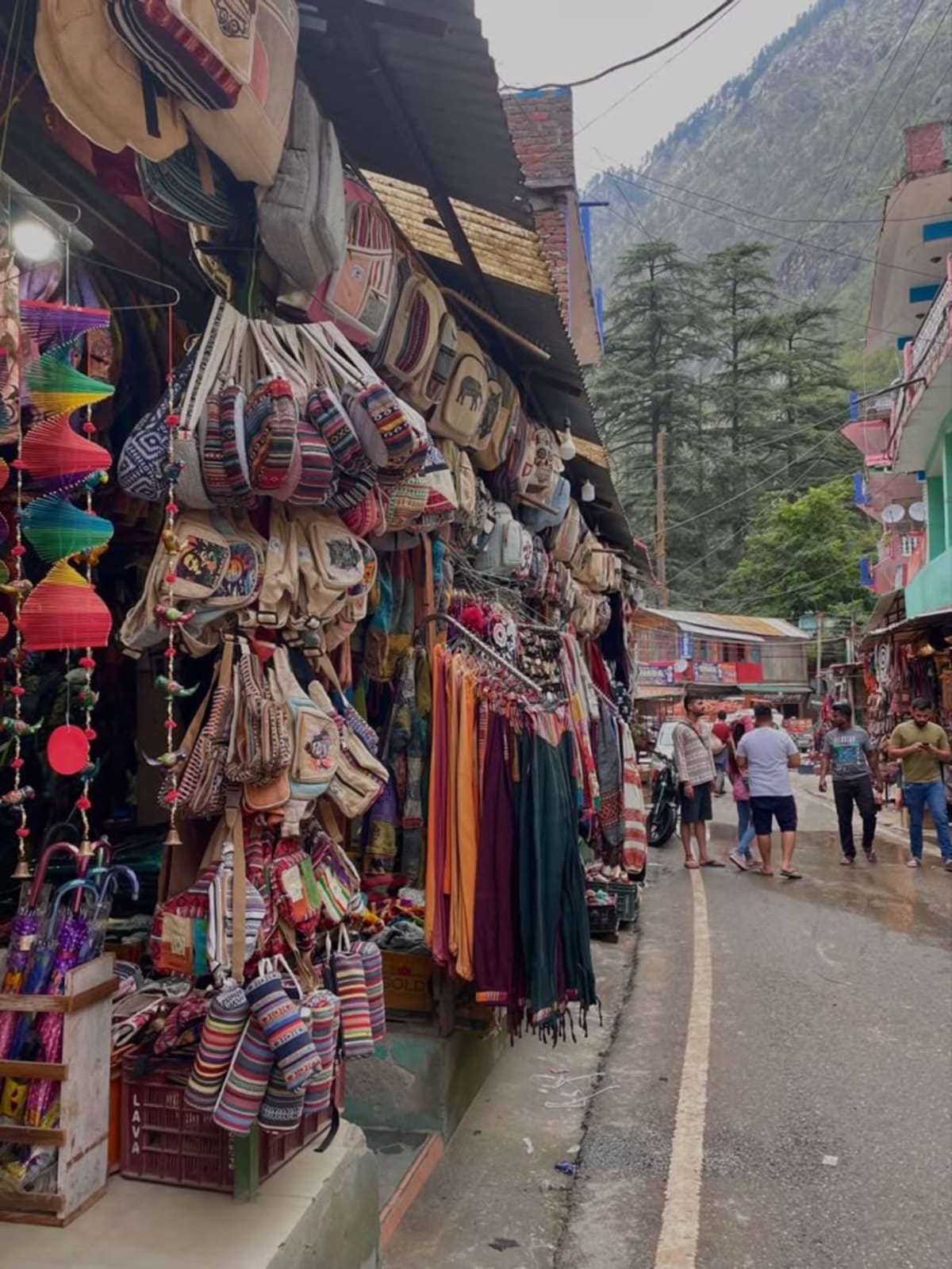 Dharamshala Travel Guide 2026: Explore the Dhauladhars