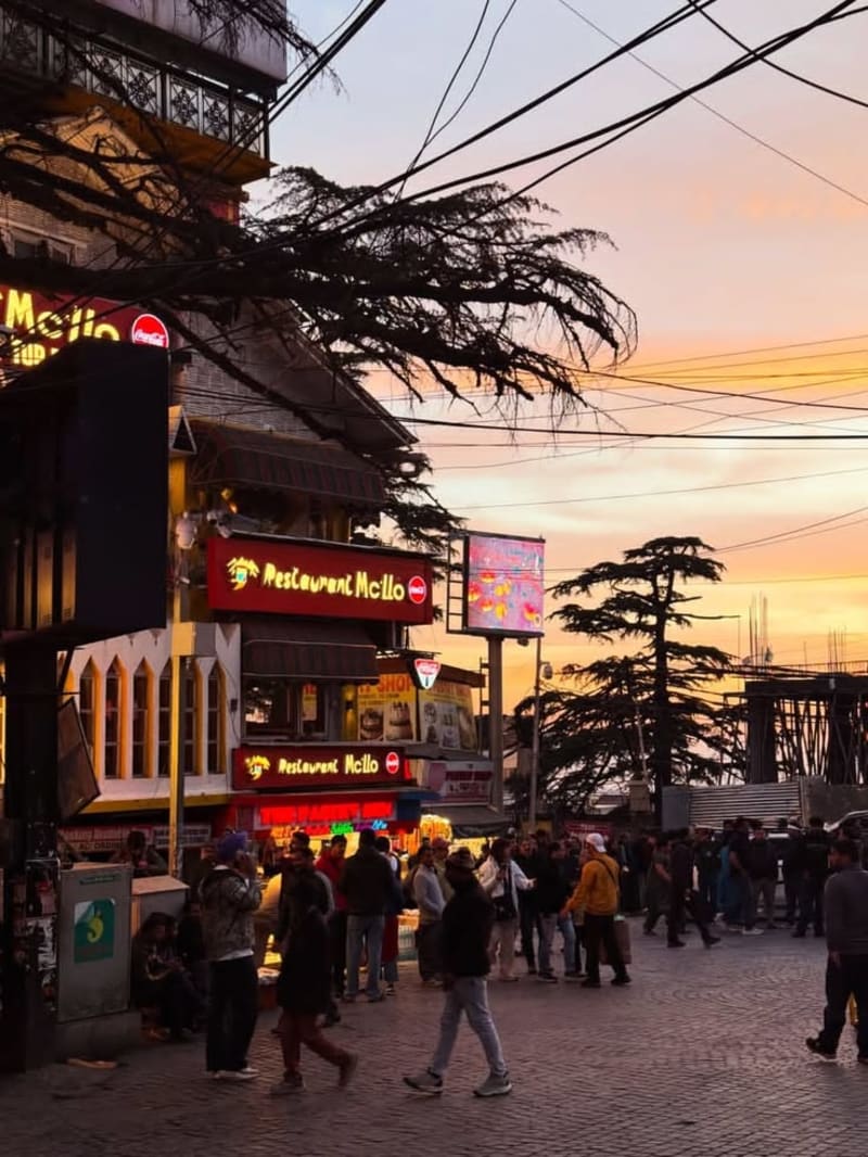 McLeod Ganj: Little Lhasa in the Heart of the Himalayas