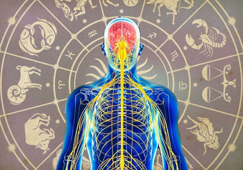 Nadi Astrology consultation and traditional astrology