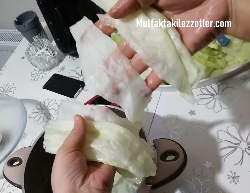 Zeytinyağlı lahana sarma