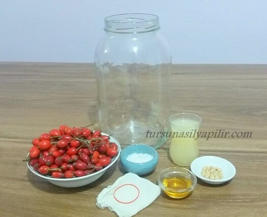 kuşburnu sirkesi