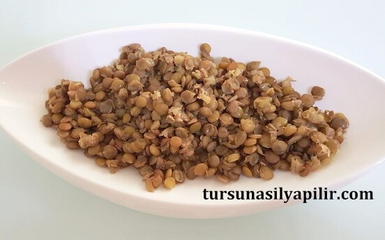 Haşlanmış yeşil mercimek