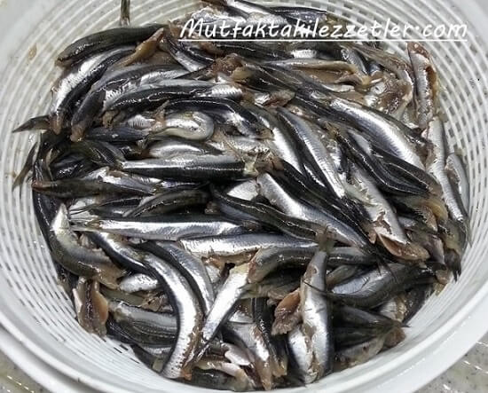Hamsi nasıl temizlenir?
