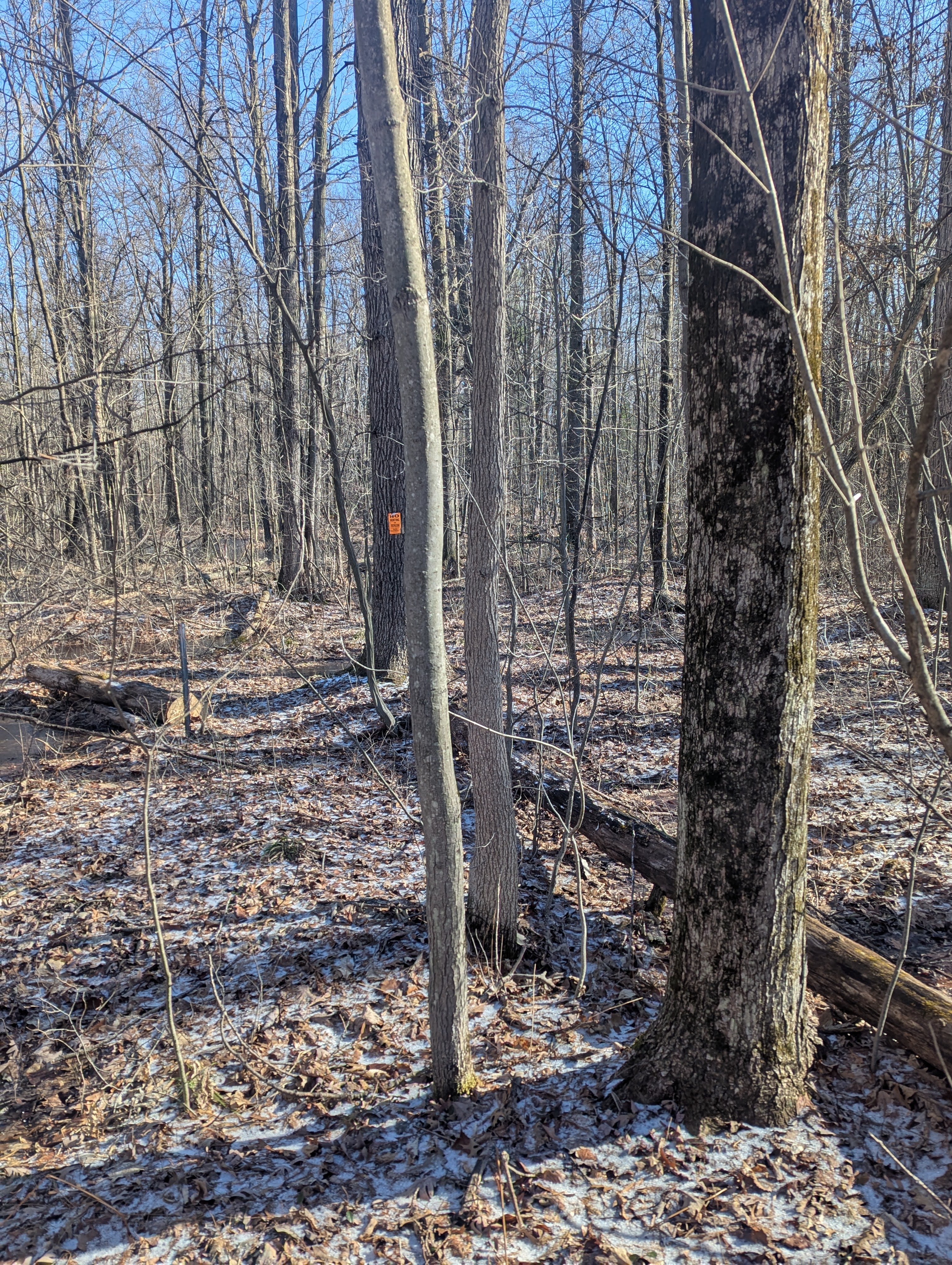 Property view at 00 East Road Maple Grove Township MI