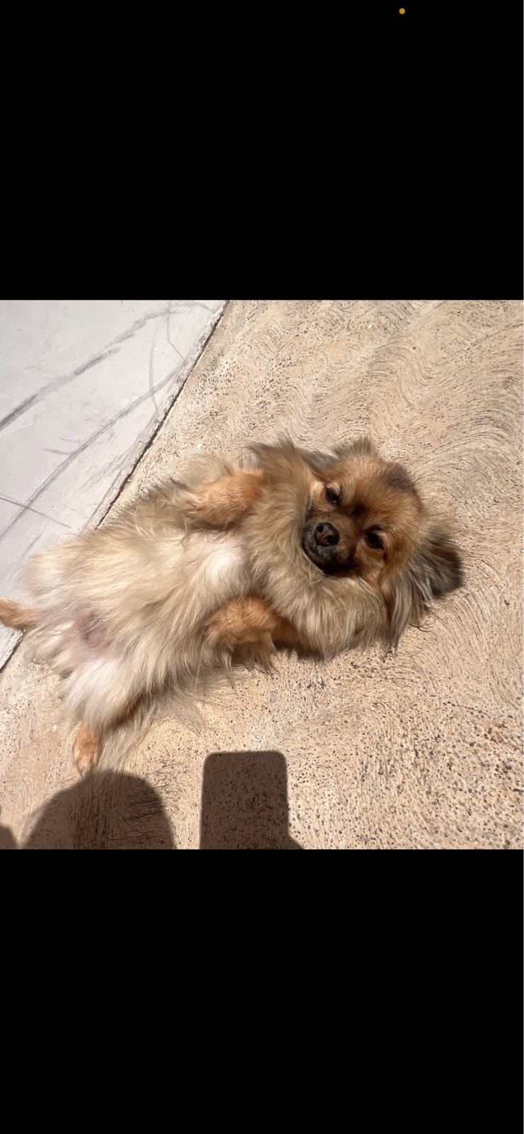 Ghita's photo