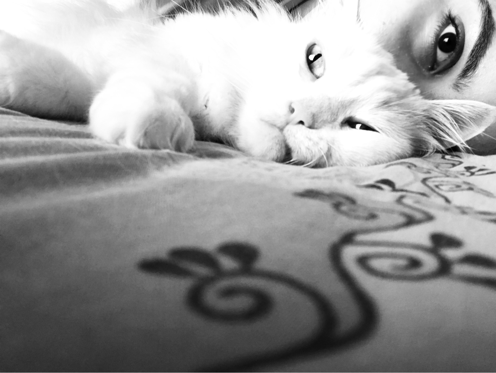 Salima's photo