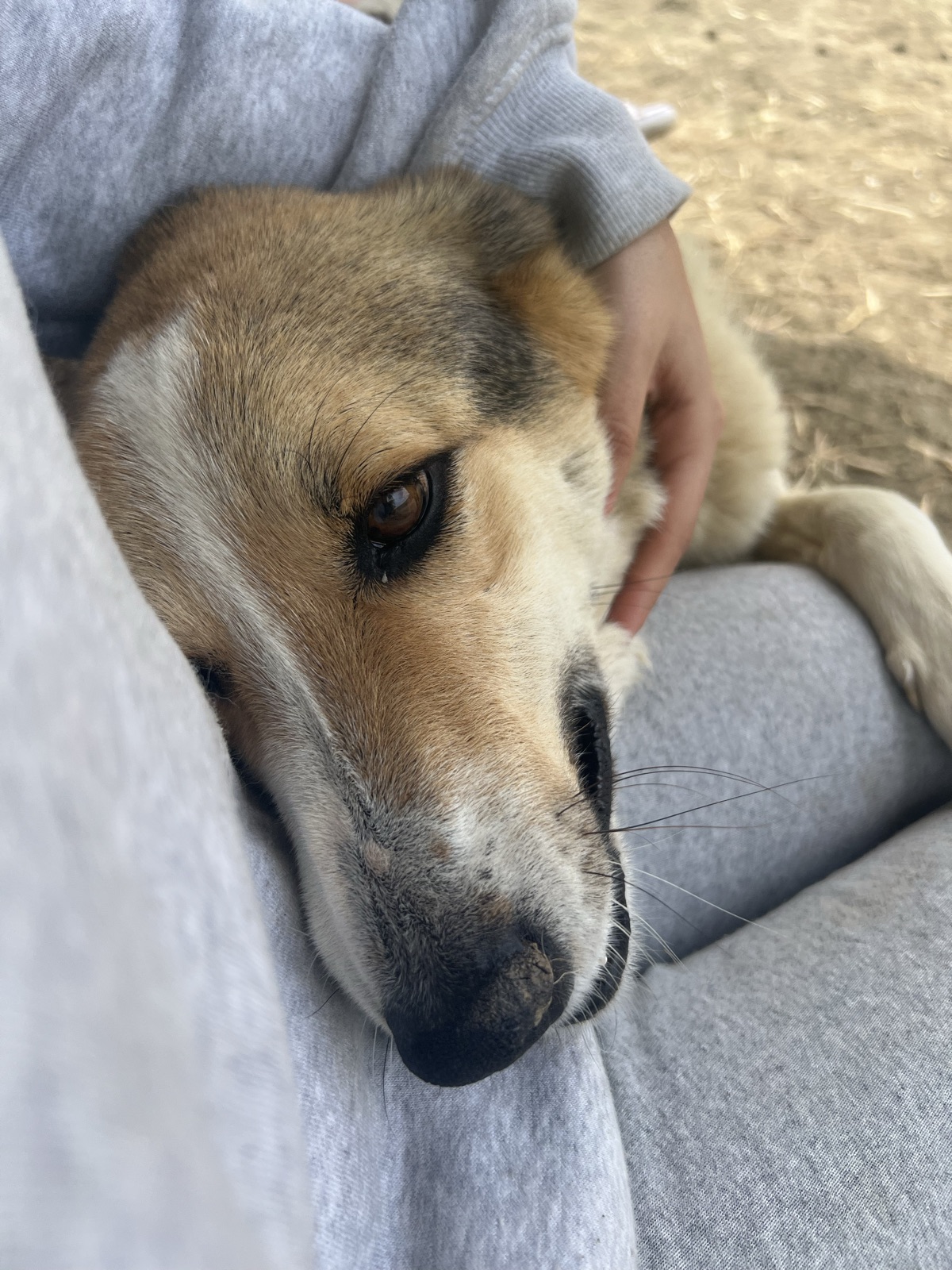 Douaa's photo