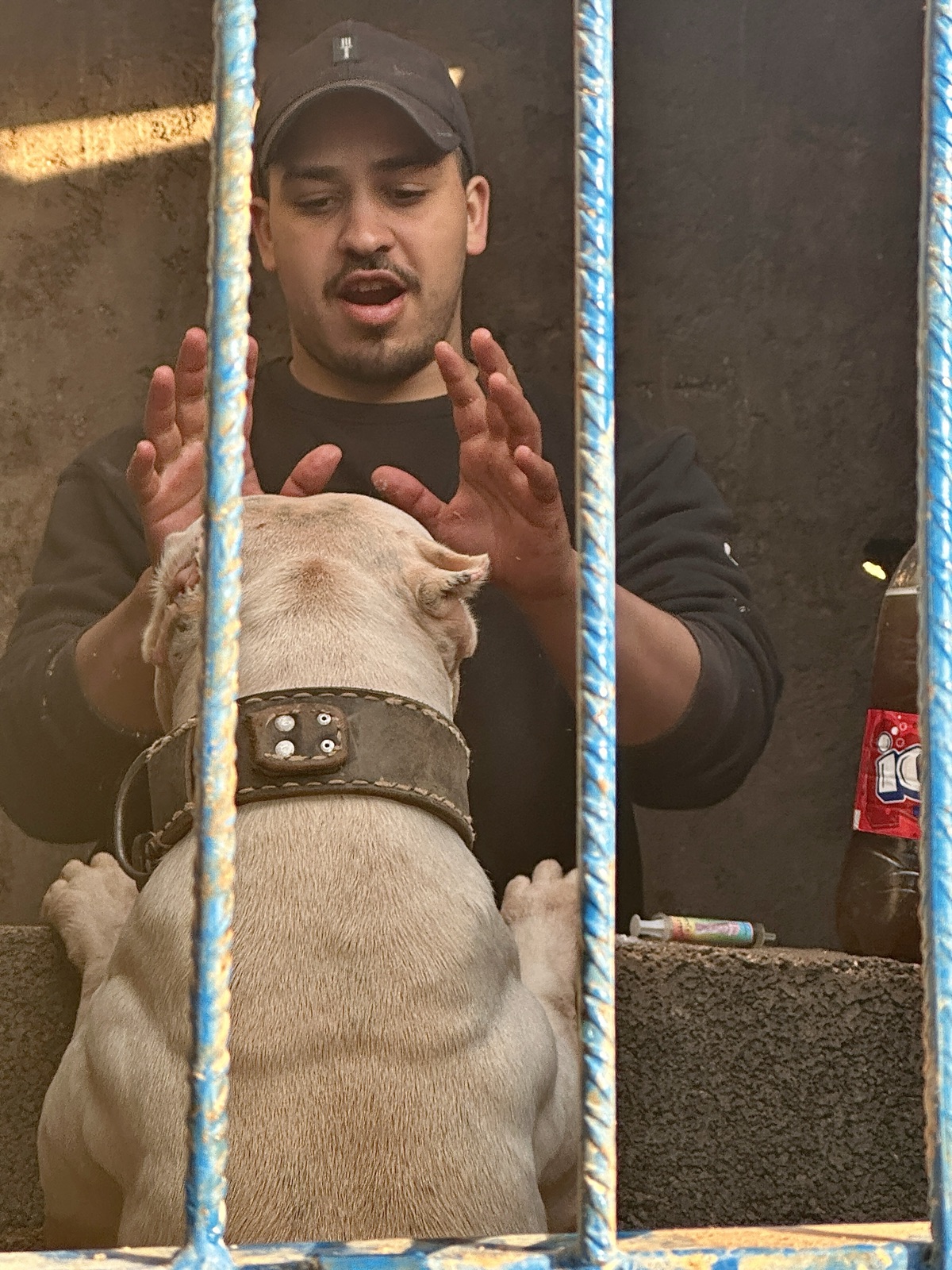 Abdelhadi's photo