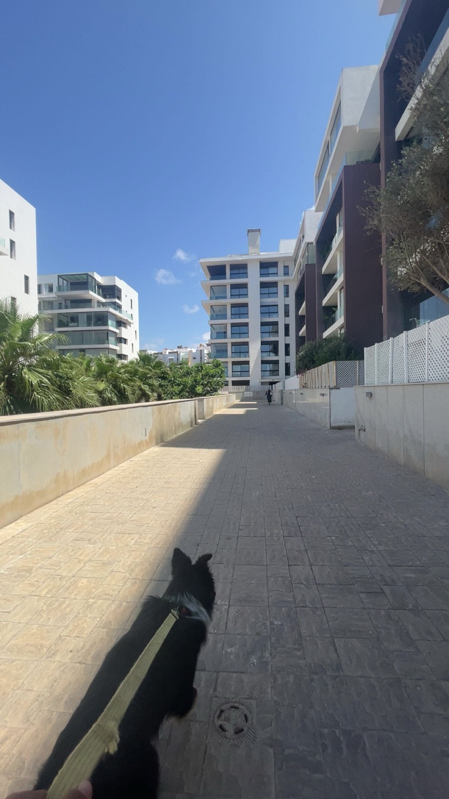YASSINE's photo