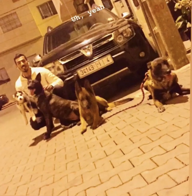 Abdelouadoud's photo