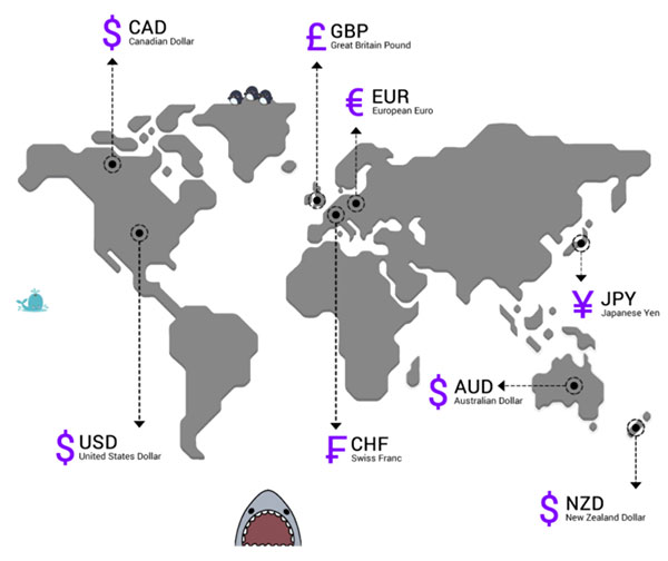 外汇相关名词 Forex related terms 专业外汇投资 Professional foreign exchange investment