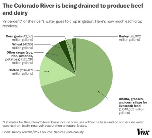 High-quality, text-free photo of a natural food arrangement, suitable for lifestyle and food systems discussions.