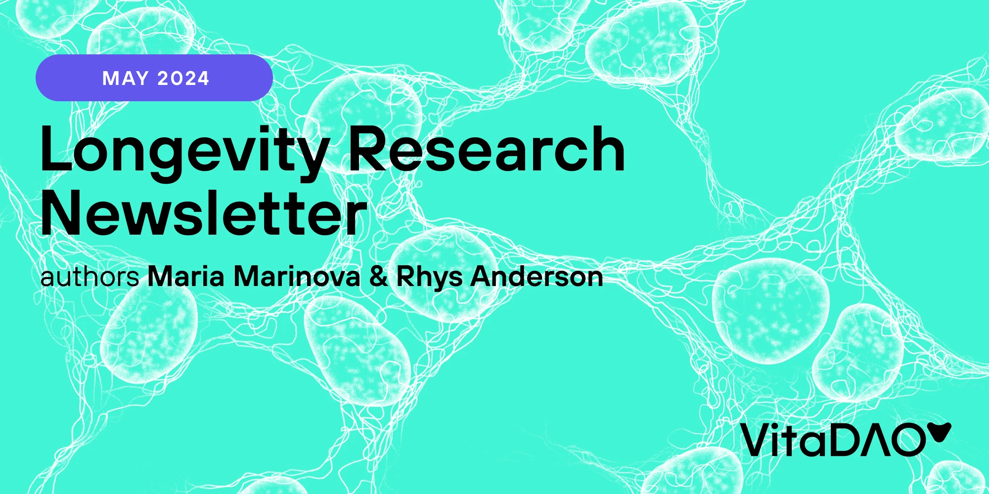 High-quality modern illustration showing cellular biology related to longevity research.
