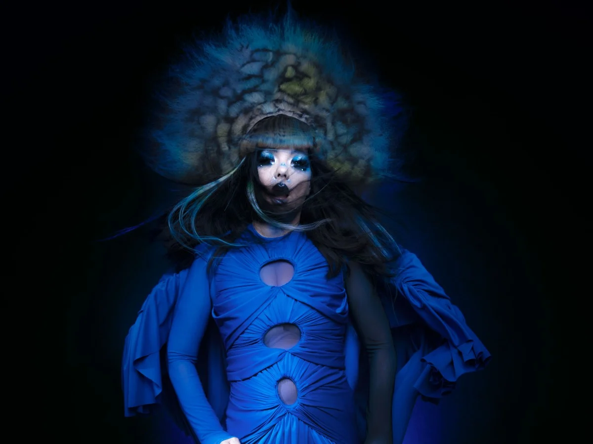 High-quality photo of Björk captured in a natural light setting, showcasing her artistic persona in a candid, expressive moment.