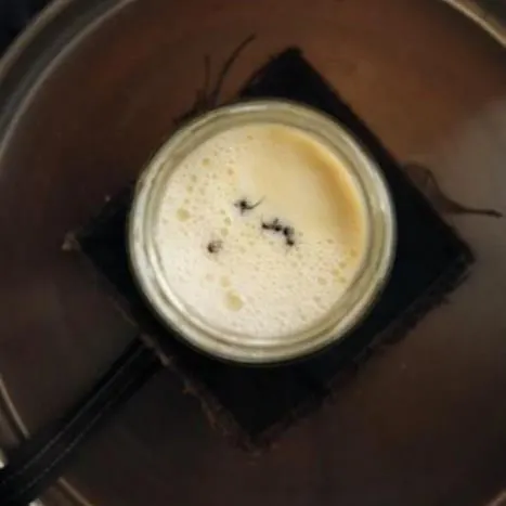 Close-up image showcasing lab-cultured yogurt derived from ants with a researcher pipetting samples, high resolution and clean background.