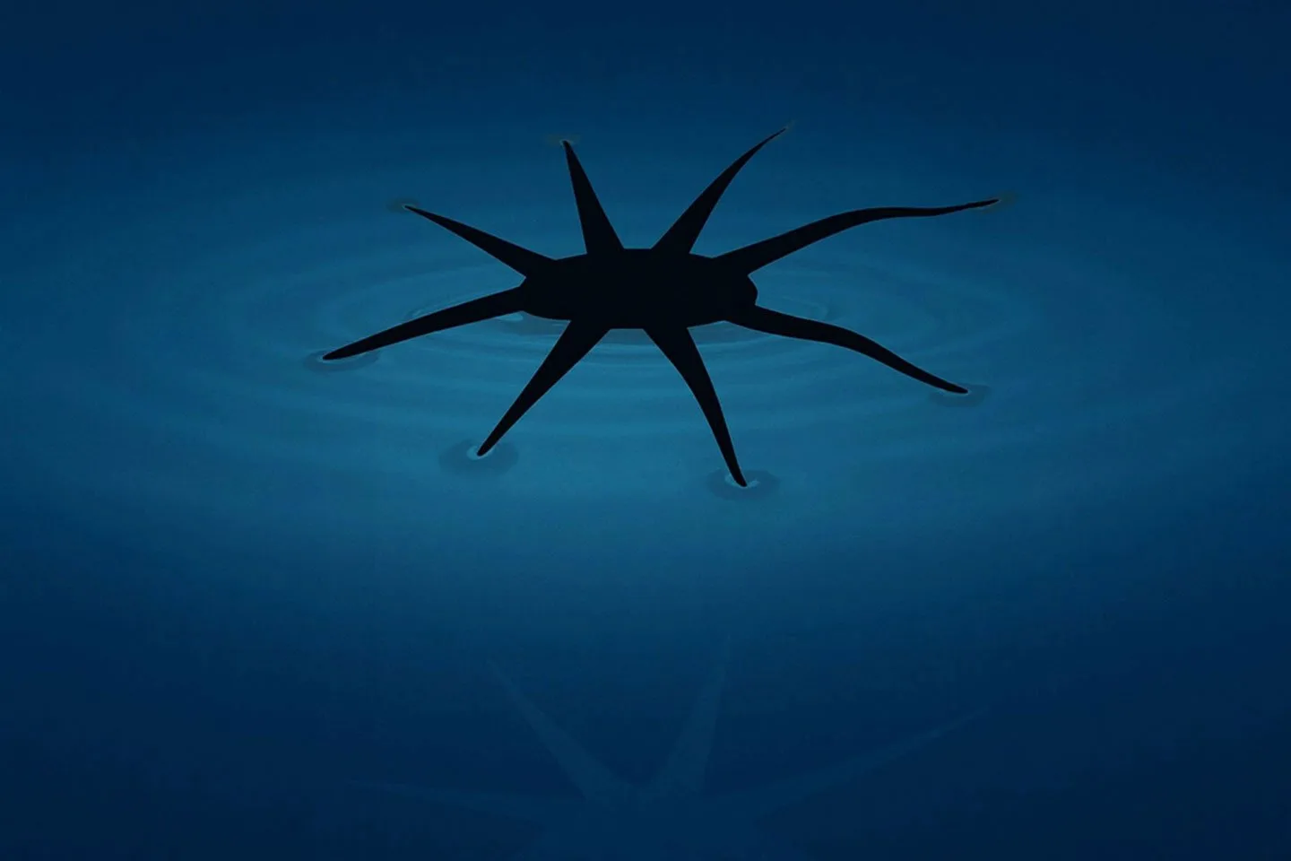 High-quality image of the HydroBuckler robot designed to walk on water, showing its mechanical structure and aquatic adaptability.