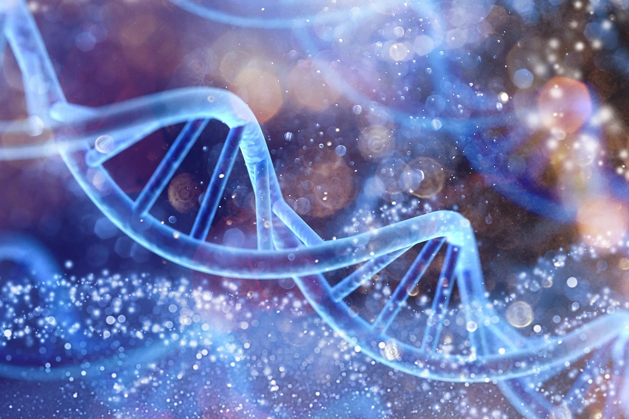 Artistic rendering of DNA double helix structure, symbolizing underlying genetic factors related to inherited longevity.