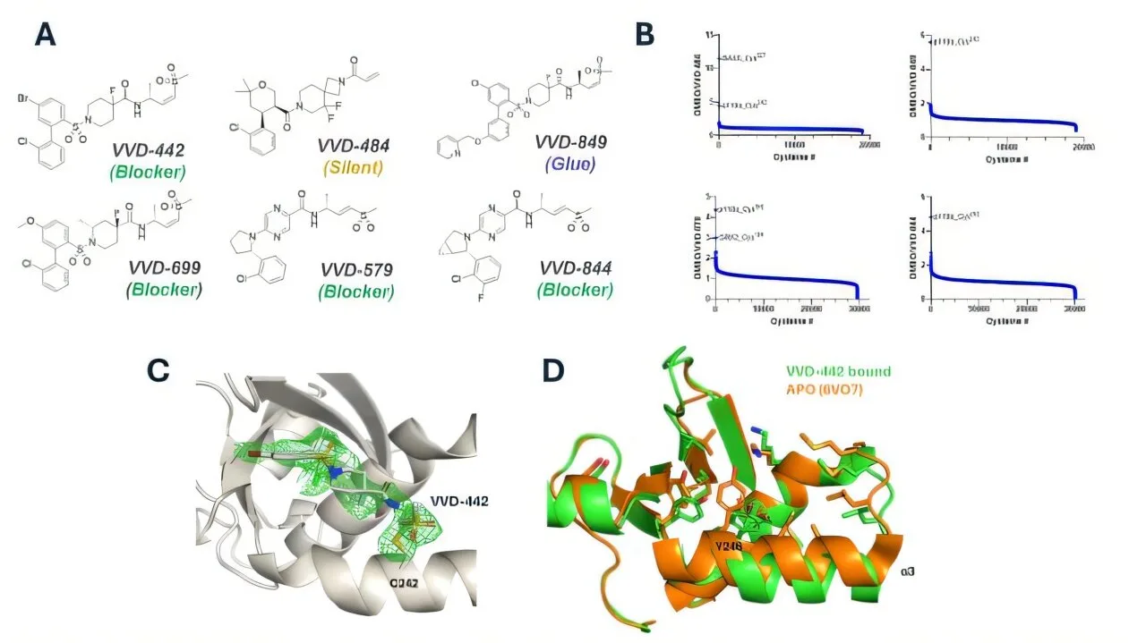 High-quality image related to new clinical trials, suggesting medical progress and research development tied to the therapy.