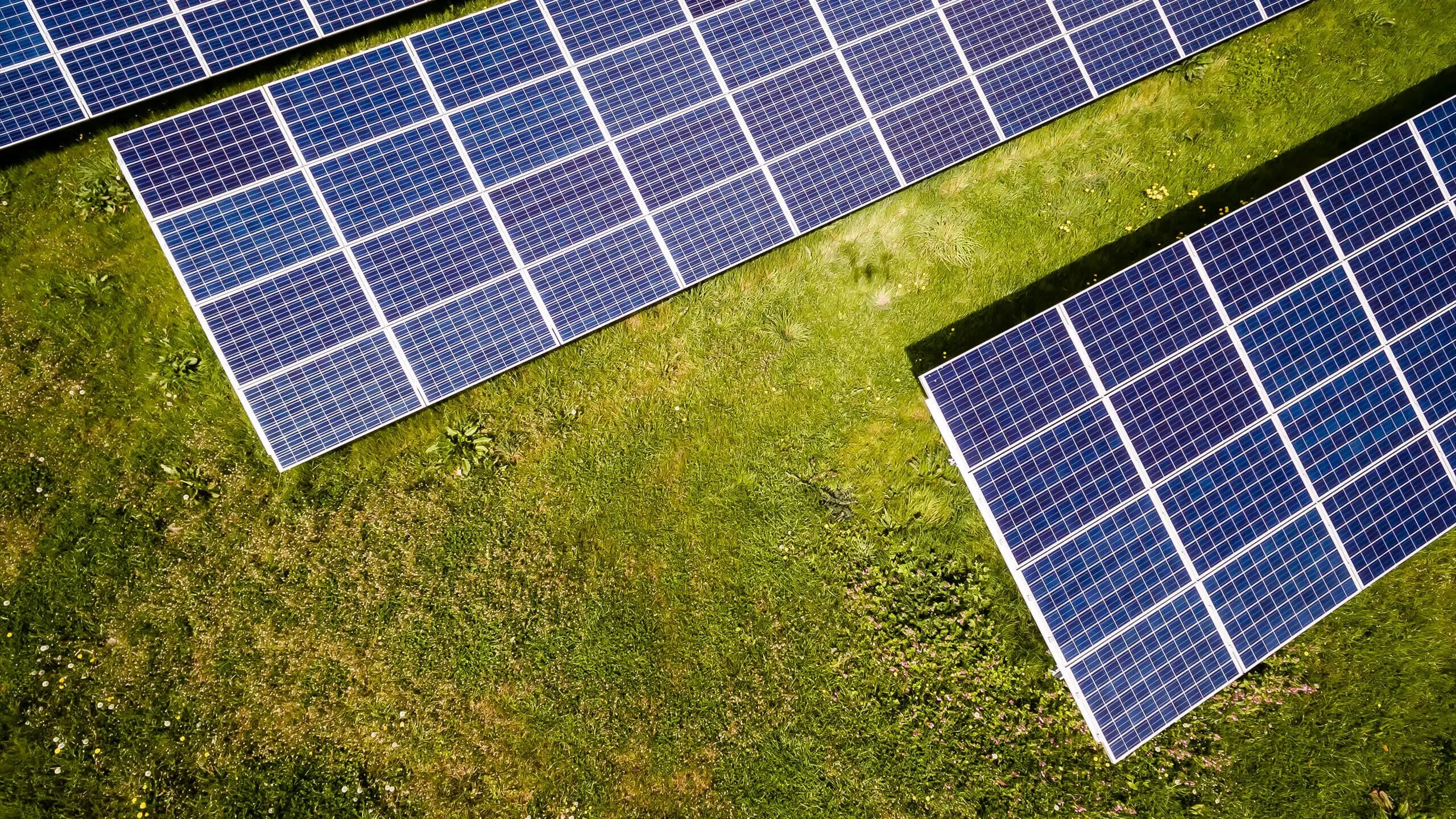 A high-resolution, professionally captured image showing rows of solar panels deployed in a sunny field, illustrating the concept of solar energy infrastructure.