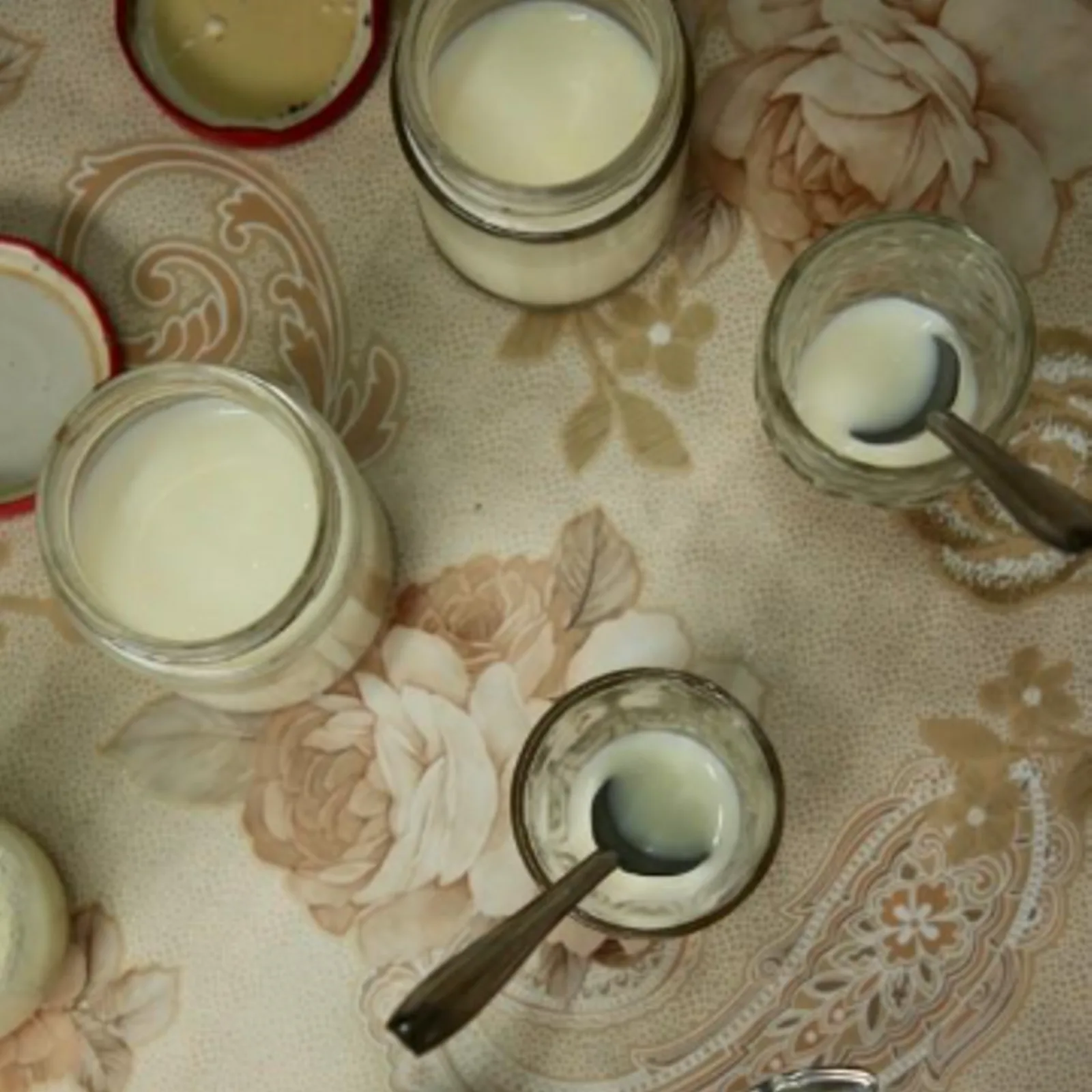 Image of researcher holding yogurt sample created with ant microbes, demonstrating the novel food biotechnology innovation.
