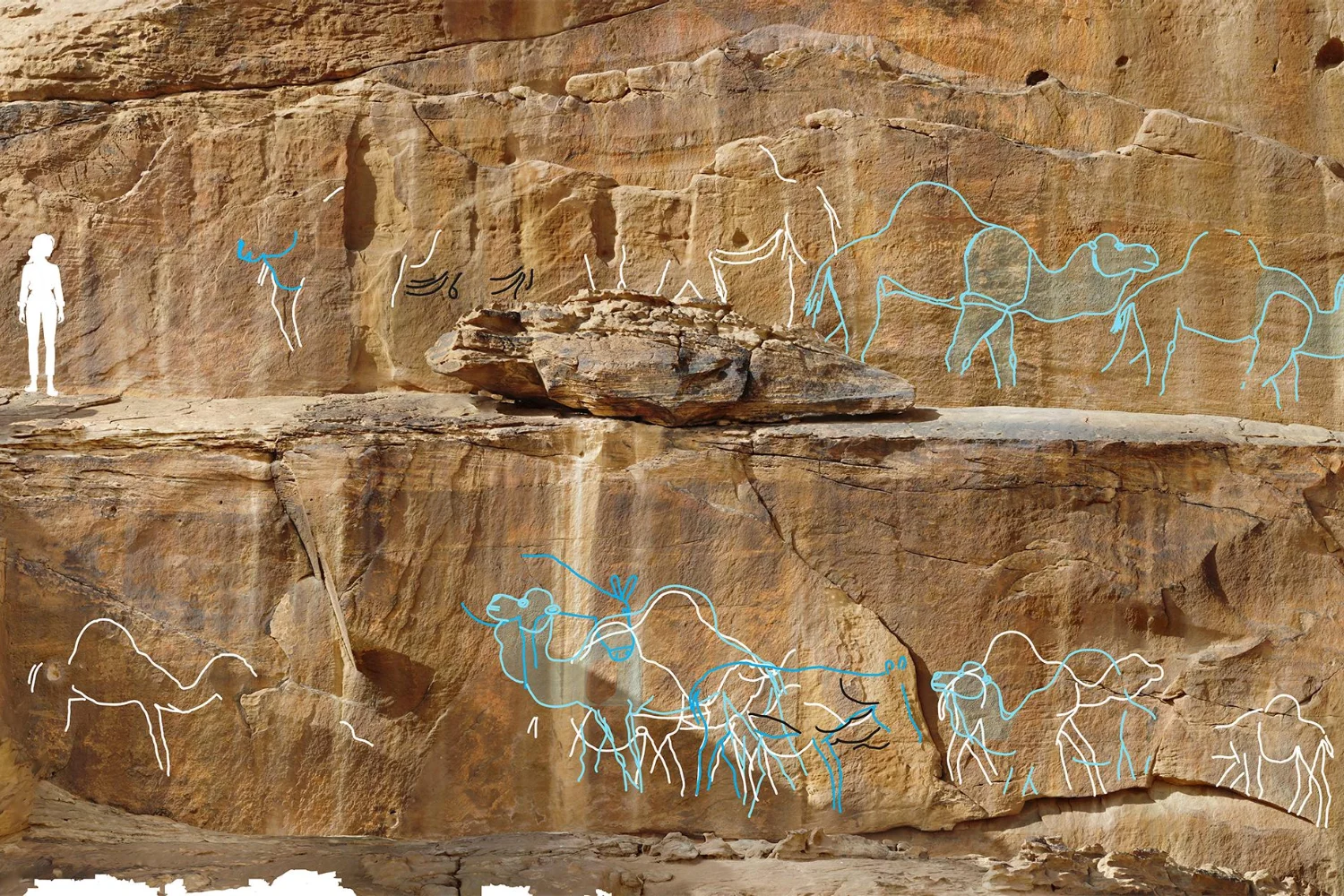 Detailed rock engravings depicting interaction among animals, likely a form of early storytelling or symbolic recording by Arabian prehistoric civilizations.